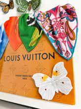 Louis Vuitton Butterfly Surprise 12x26