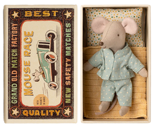 Little Brother Mouse in Matchbox