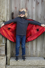 Reversible Spider/ Bat Cape & Mask 4-6Y