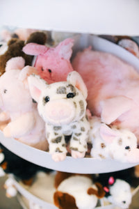 Yogi Pig Stuffed Animal