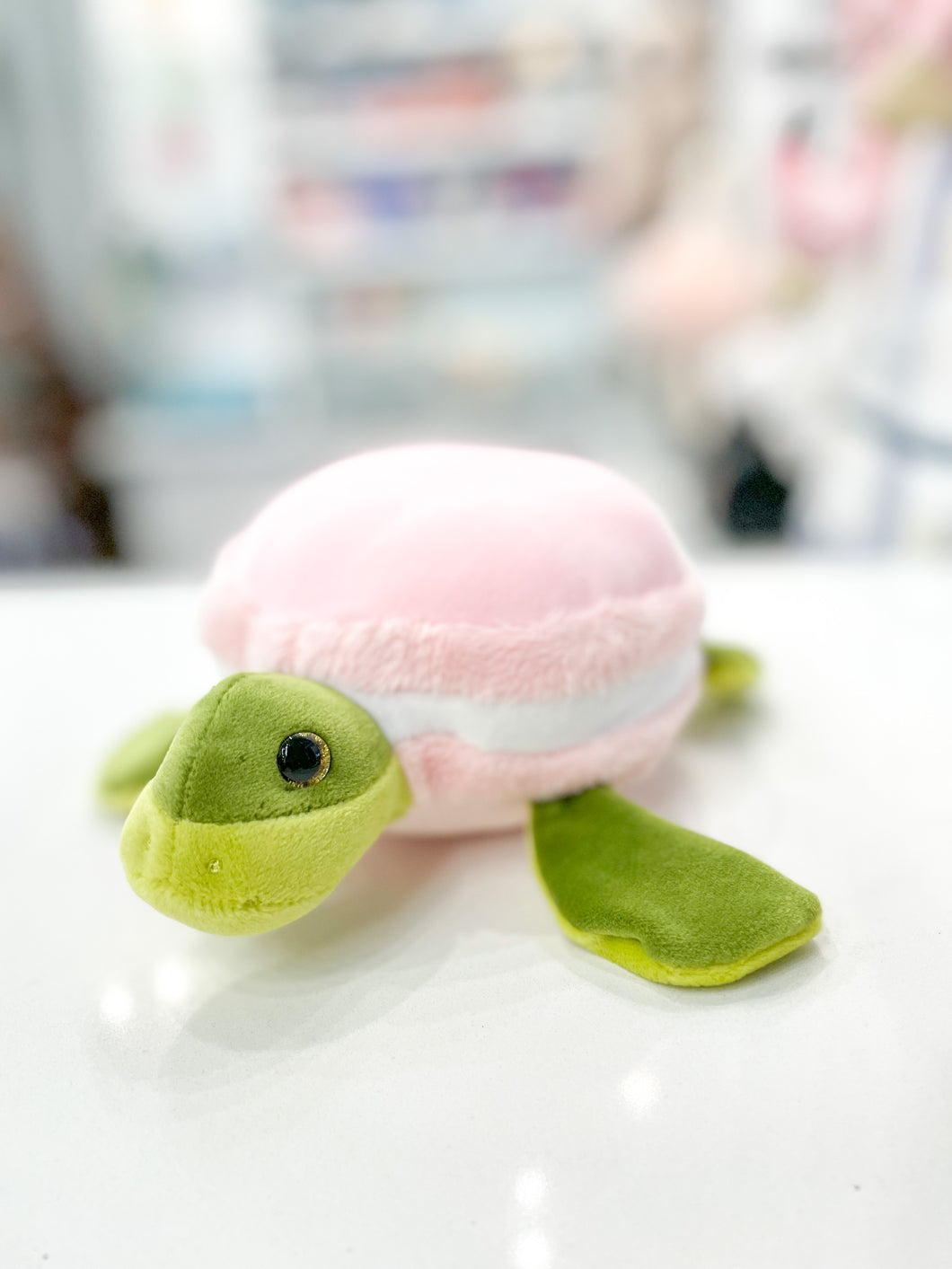 Macaroon Turtle